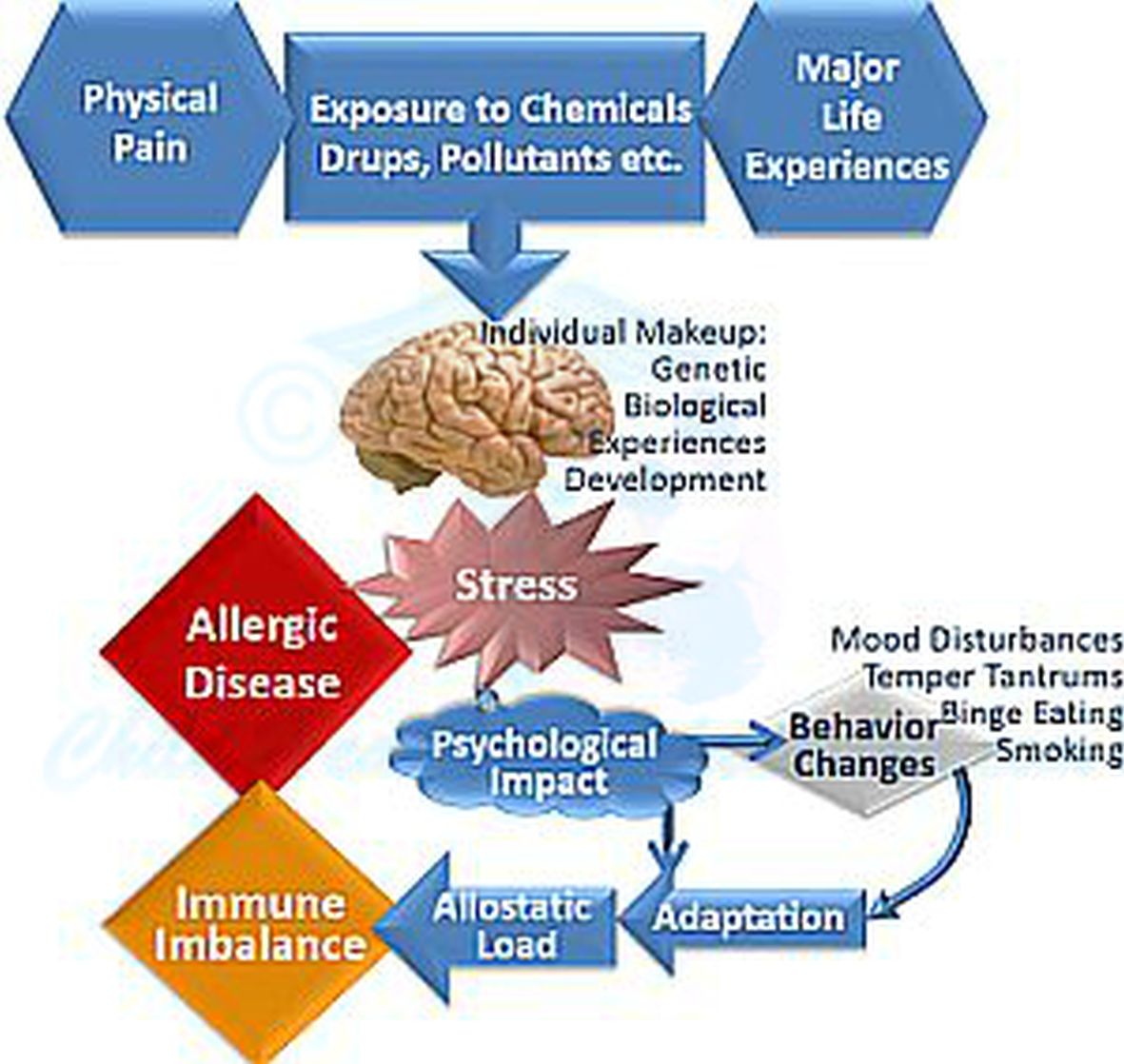 Diseases and conditions latex allergies