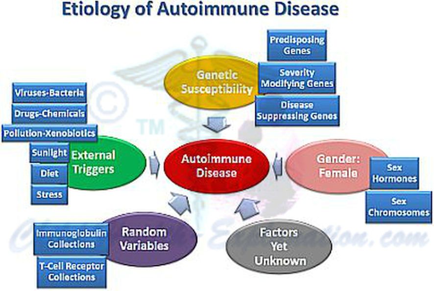 autoimmune-disease-etiology.jpg