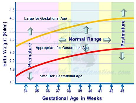 Neonatal Birth Weight Chart