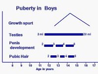 Growth Spurt Chart For Females