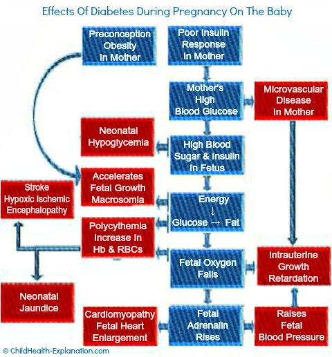 Glucose Chart For Pregnancy