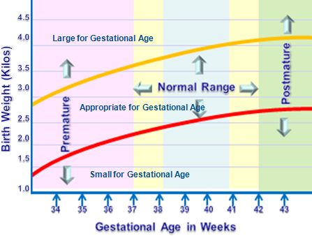 Large For Gestational Age Chart