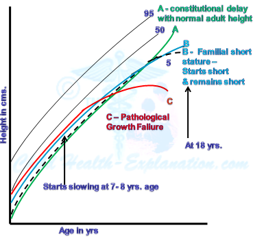 Growth Chart Normal Percentile