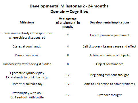 24 Month Milestones Chart