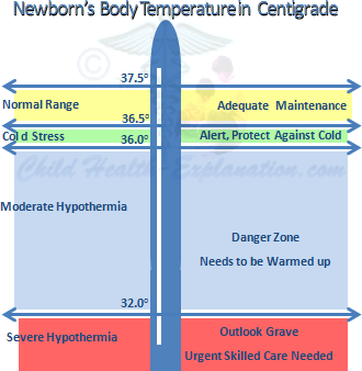 Infant Baby Temperature Chart