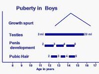 Boys Growth Spurt Chart