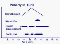 puberty leads to physical and sexual maturation during teens sexual development stages