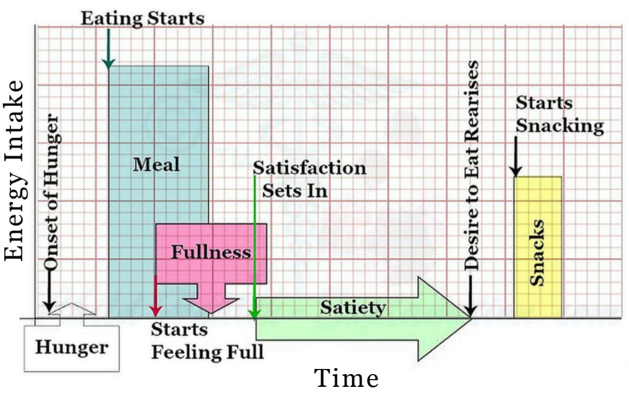 Awareness Of Hunger & Satiety, The Feeling Of Fullness After A Meal