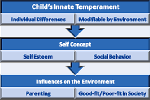 Influences of Innate Temperament