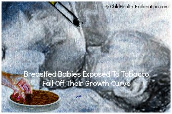 Infants' Rapidly Growing & Maturing Body Functions Suffer Lasting Setback From Tobacco Toxins 